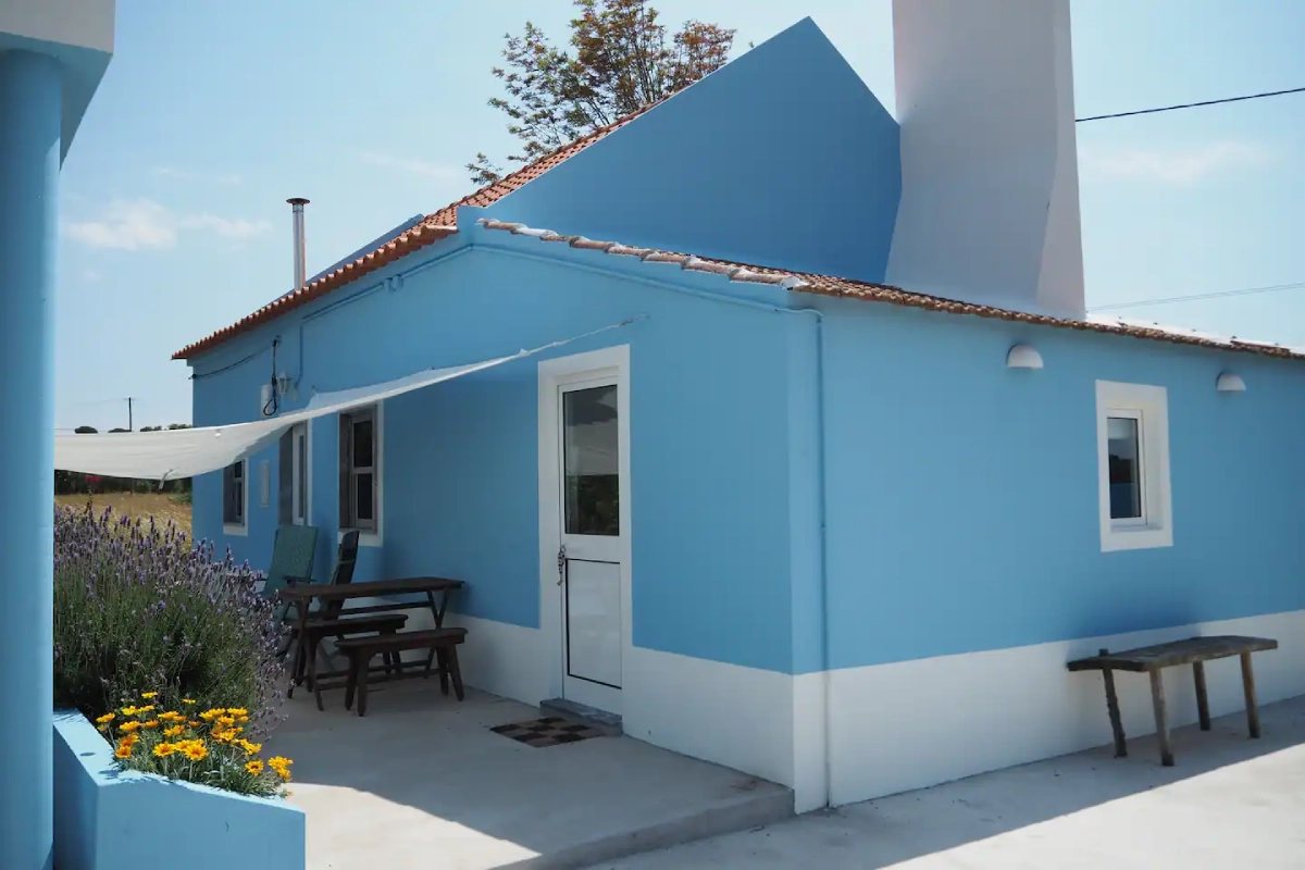 Campo ensolarada (4)